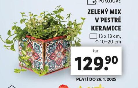 ZELEN MIX V PESTR KERAMICE