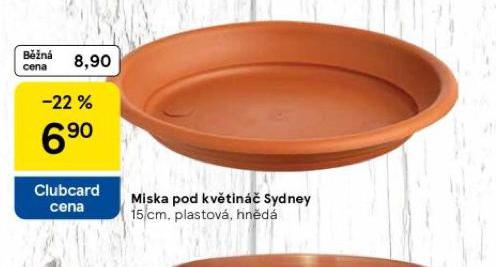 MISKA POD KVTIN SYDNEY