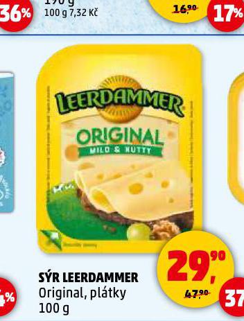 LEERDAMMER SR