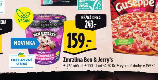 BEN & JERRYS ZMRZLINA VEGAN