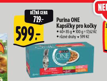 PURINA ONE KAPSIKY PRO KOKY