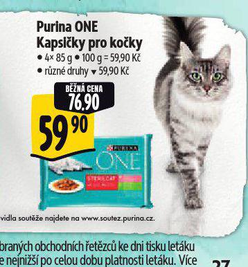 PURINA ONE KAPSIKY PRO KOKY