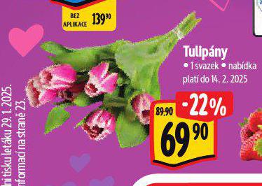 TULIPNY