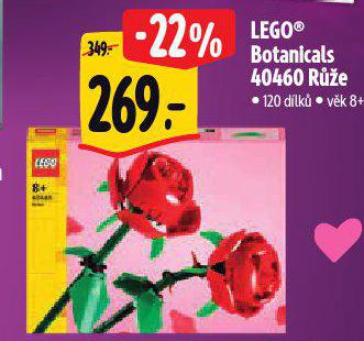 LEGO BOTANICALS RَE