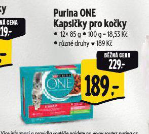 PURINA ONE KAPSIKY PRO KOKY