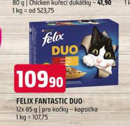 FELIX FANTASTIC DUO