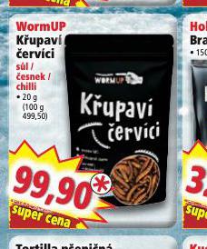 WORMUP KUPAV ERVCI