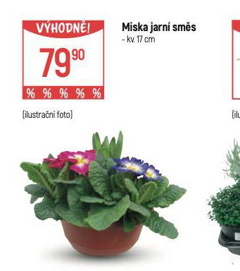 MISKA JARN SMS