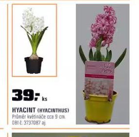 HYACINT