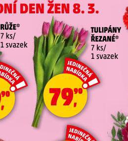 TULIPNY