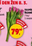 TULIPNY