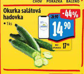 OKURKA SALTOV HADOVKA