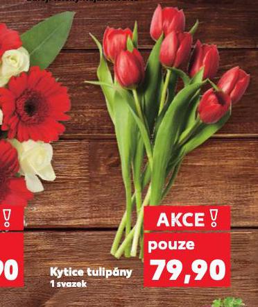 KYTICE TULIPNY