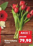 KYTICE TULIPNY