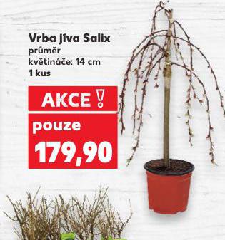 VRBA JVA