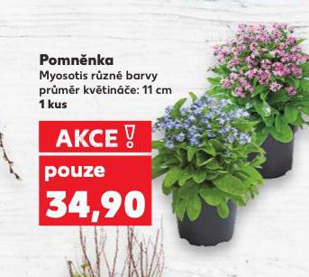 POMNNKA