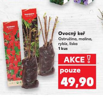 OVOCN KE