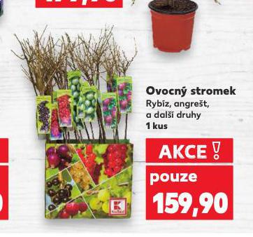 OVOCN STROMEK