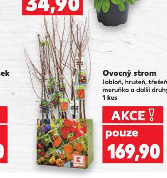 OVOCN STROM