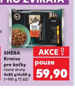 SHEBA KAPSIKY PRO KOKY