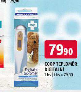 TEPLOMR DIGITLN