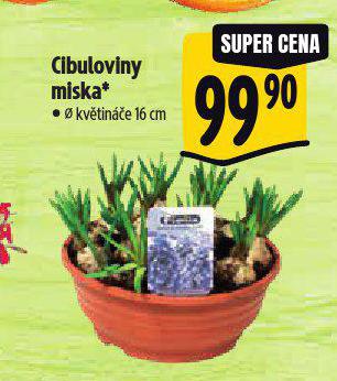 CIBULOVINY MISKA