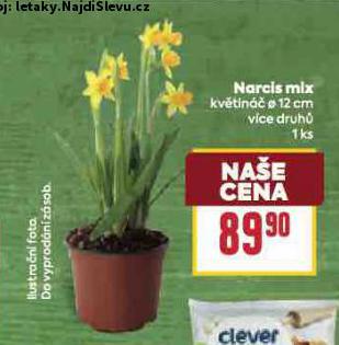 NARCIS MIX