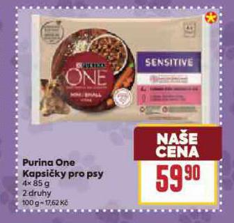 PURINA ONE KAPSIKY PRO PSY