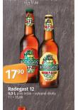 PIVO RADEGAST RYZE HOK 12