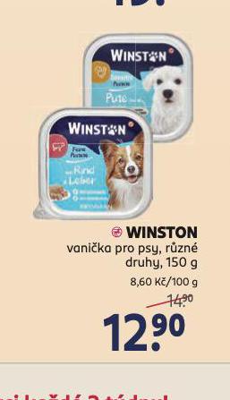 WINSTON VANIKA PRO PSY