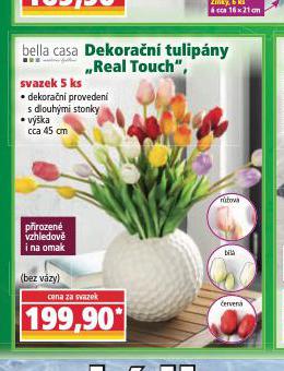 DEKORAN TULIPNY