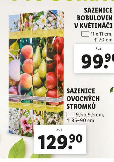 SAZENICE OVOCNCH STOMK