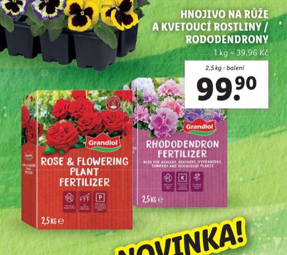 HNOJIVO NA RَE A KVETOUC ROSTLINY / RODODENDRONY