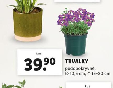 TRVALKY