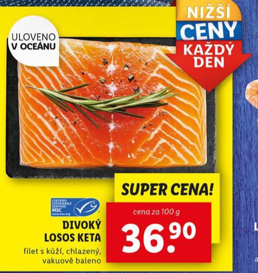 DIVOK LOSOS KETA