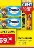 OPAVIA BRUMK