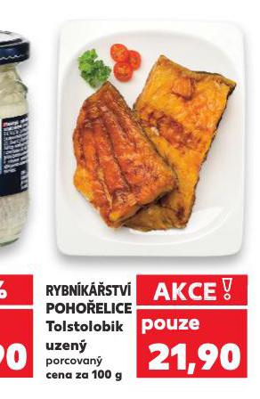 TOLSTOLOBIK UZEN
