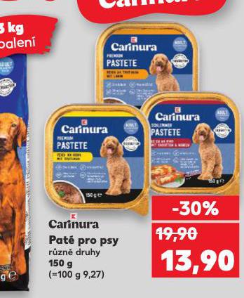 CARINURA PAT PRO PSY