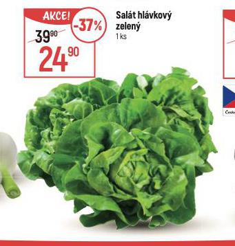 SALT HLVKOV ZELEN