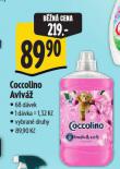 COCCOLINO AVIV
