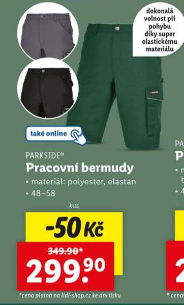 PRACOVN BERMUDY