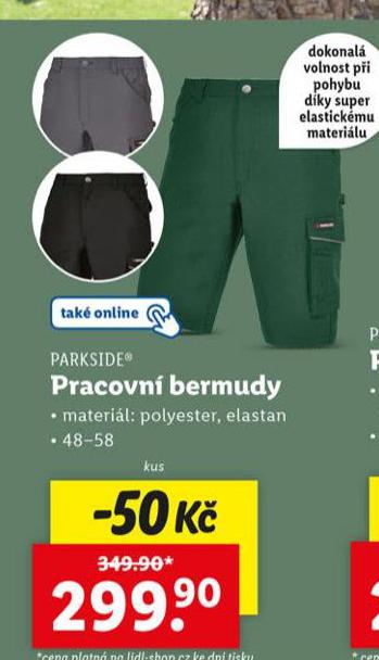PRACOVN BERMUDY