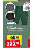 PRACOVN BERMUDY