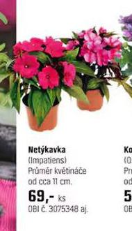 NETKAVKA