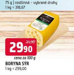 BORYNA SR