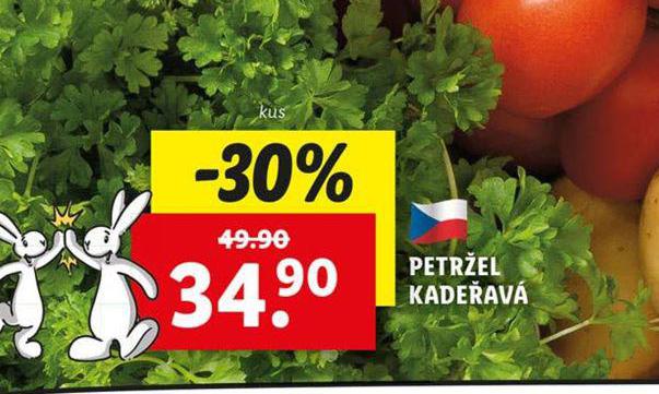 PETREL KADEAV