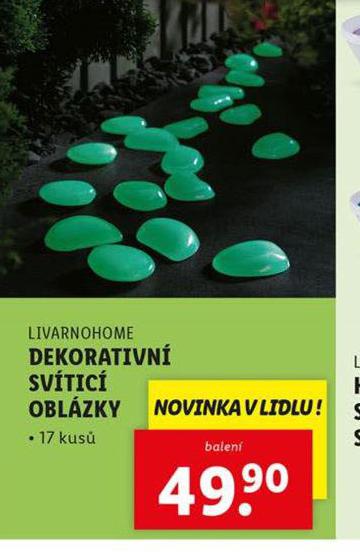 DEKORATIVN SVTC OBLZKY