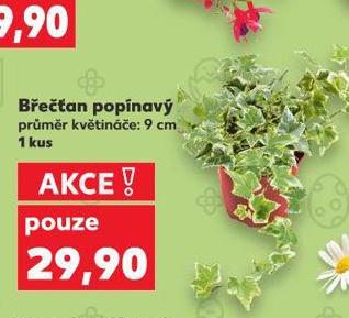 BEȍAN POPNAV