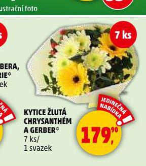 KYTICE LUT CHRYSANTHM A GERBER