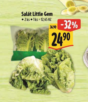 SALT LITTLE GEM